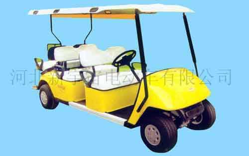 國內(nèi)電動(dòng)轎車首領(lǐng)牌照