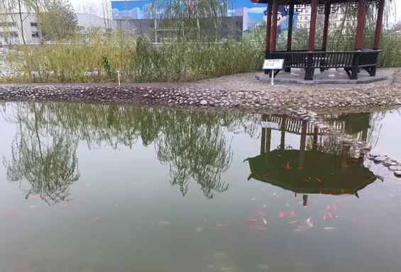 下雪天的躍迪集團(tuán)，咱也跟跟風(fēng)。。。