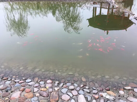 下雪天的躍迪集團(tuán)，咱也跟跟風(fēng)。。。