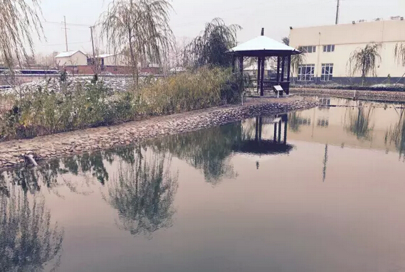 下雪天的躍迪集團(tuán)，咱也跟跟風(fēng)。。。