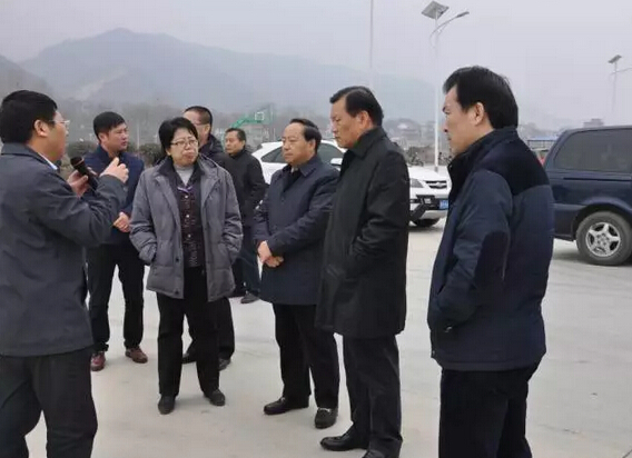 中央國家機關工委副書記陳存根一行到躍迪集團旗下陜西躍迪新能源汽車有限公司調研