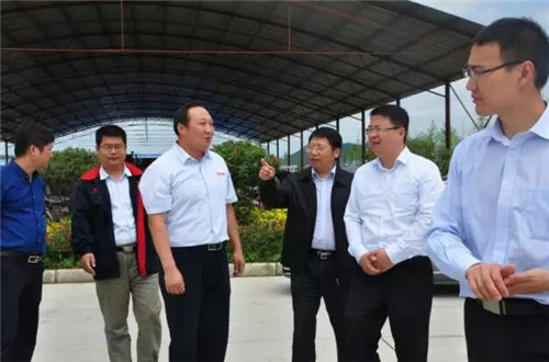 陜西省商洛市常務副市長調研